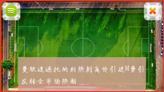 曼联追逐托纳利热刺高价引进M费引发转会市场热潮