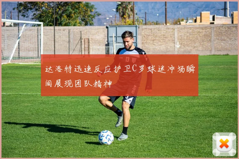 达洛特迅速反应护卫C罗球迷冲场瞬间展现团队精神